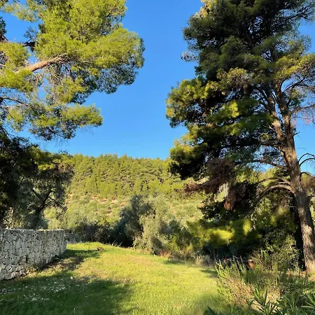 Novecento Apartment Vieste